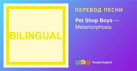 Текст и перевод песни Metamorphosis Pet Shop Boys (Пет Шоп Бойз) на ...