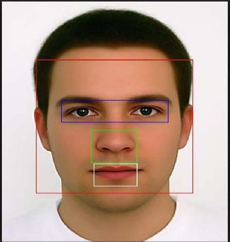 Image result for Face Features