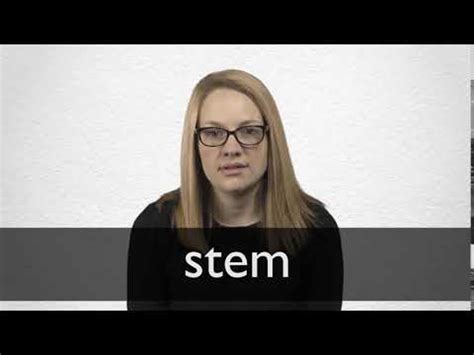 STEM Synonyms | Collins English Thesaurus