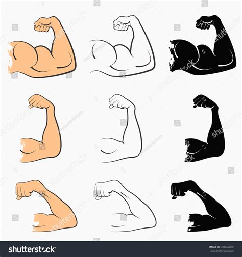 Animation Powerstroke Muscle 的图像结果