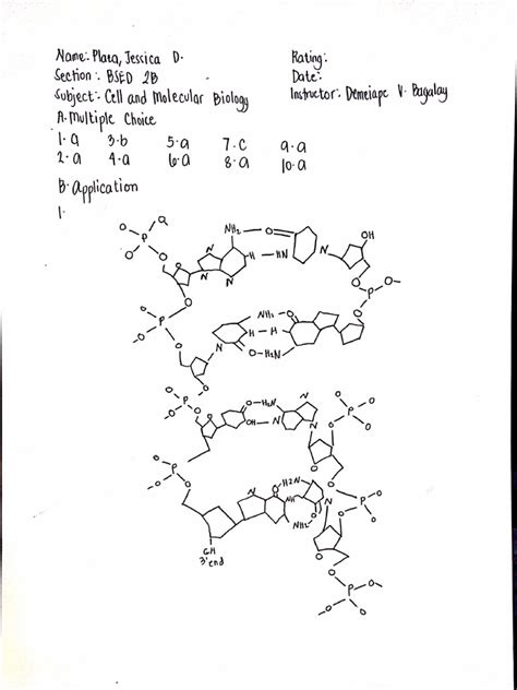 Module 4 Lesson 2 的图像结果