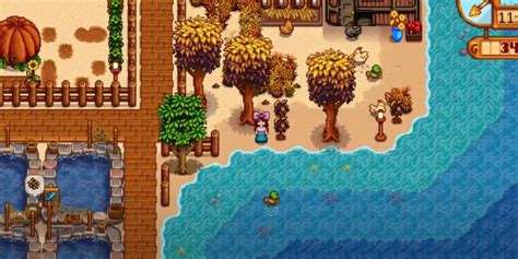 Stardew Valley: How To Get & Use Duck Feathers