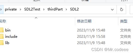 Python Window SDL2 Error 的图像结果