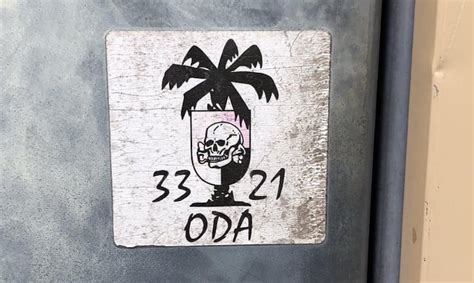 The roots of this unofficial Nazi-inspired Army Green Beret logo