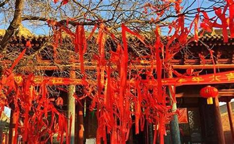 实用的中国的传统节日作文300字合集10篇