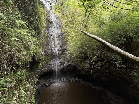 Hiking the Kaʻau Crater Trail on Oʻahu — noahawaii