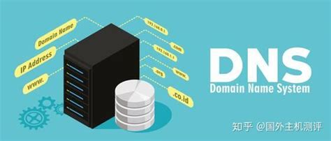 What Is Dns And How Does Dns Work Explained For Beginners - www.vrogue.co