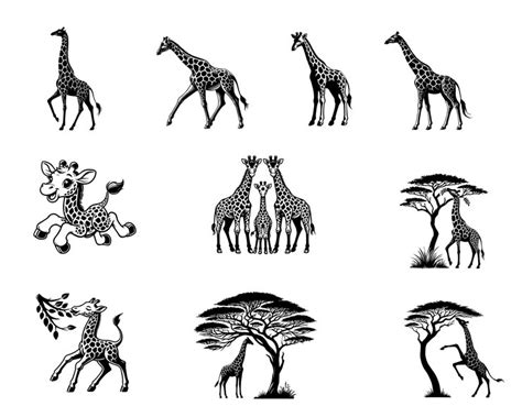 A giraffe and giraffes are shown with giraffes | Premium AI-generated ...