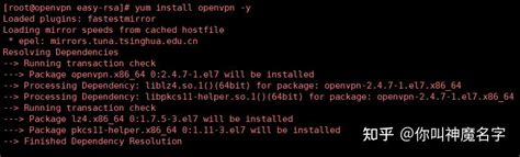 Easy-Rsa OpenVPN 的图像结果