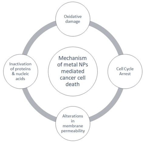 Recent Trends and Developments in Multifunctional Nanoparticles for ...