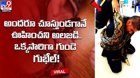 Python Attack 的图像结果