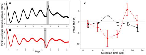 General Anaesthesia Shifts the Murine Circadian Clock in a Time ...