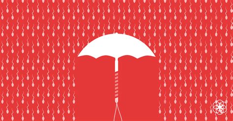 The IUD: How the hormonal IUD and the copper IUD work to prevent pregnancy
