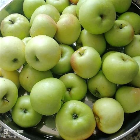青苹果 - olgofm.org 青苹果 体重控制 降低患结肠癌的风险 帮助皮肤