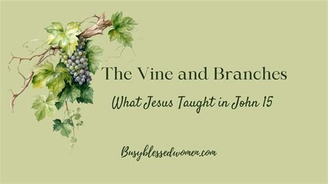The Vine and Branches: Jesus' Teaching in John 15