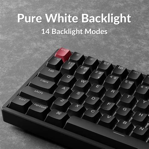 Keychron K2 75% Layout QMK Wireless and Wired India | Ubuy