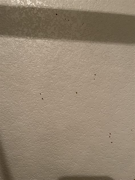 Image result for Toad Eating Drywall