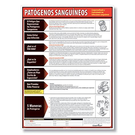 ComplyRight Bloodborne Pathogens Poster - Spanish : Amazon.in: Home ...