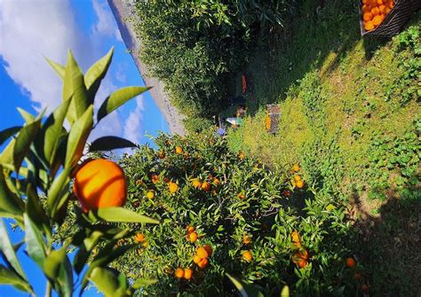 NEBO INFOTOUR (2026) All You Need to Know BEFORE You Go (with Photos ...