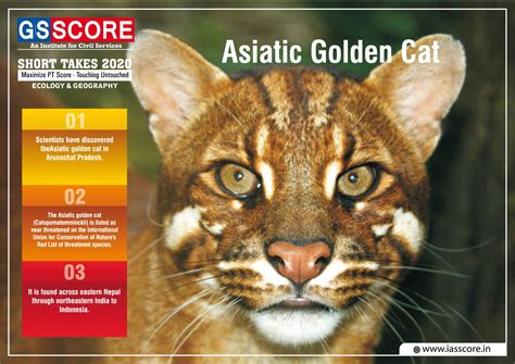 GS SCORE: Target Prelims(PT) IAS UPSC in 100 Days: Day 65 Science ...