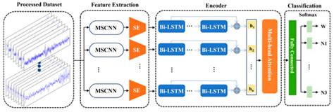 MultiScaleSleepNet: A Hybrid CNN–BiLSTM–Transformer Architecture with ...