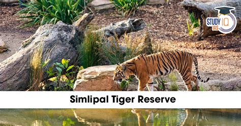 Similipal Tiger Reserve (STR): Location, Characteristics and Prominent ...