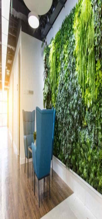 Office Plant Decor: Importance of Incorporating Plants in the Workplace