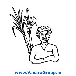 Vanara Group - Where Unity Drives Innovation
