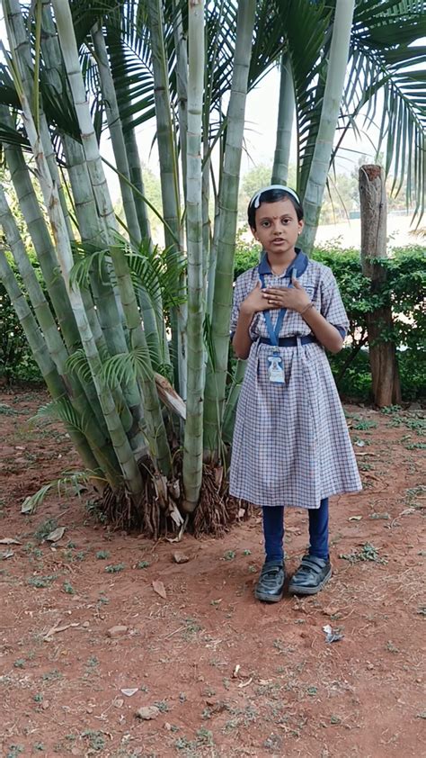 Image result for About Root System