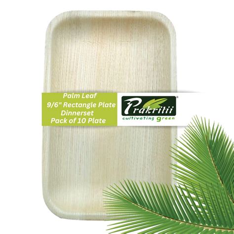 Buy PRAKRITII CULTIVATING GREEN Areca Leaf 10/6 Rectangle Plate Eco ...