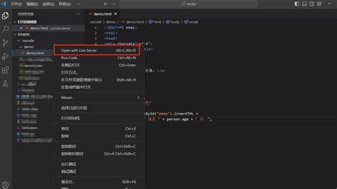 Can Vscode Run JavaScript 的图像结果