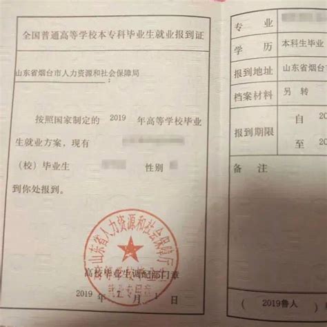 毕业证编号怎么查,中专毕业证编号怎么查询？ - 我要软文网