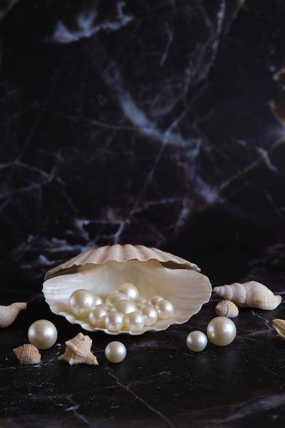 Image result for Pearly Sea Shells