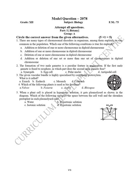 Class 12 CDC Model Questions of English 的图像结果