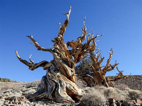 Lifestyle, Travel, Film, Technology, Entertainment, Dining | Page 17 ...