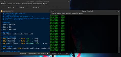 Python Crack 的图像结果