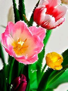 Image result for Tulips Flower Using Python