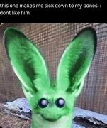 Image result for Bunny Mug That Stabs Eyes