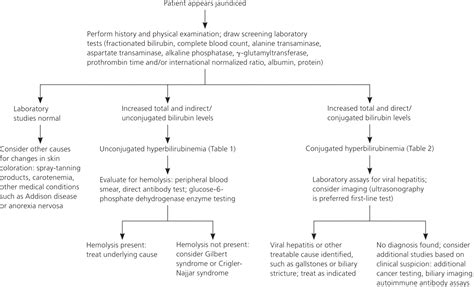 Painful Jaundice Differential Diagnosis at Jacqueline Arnold blog