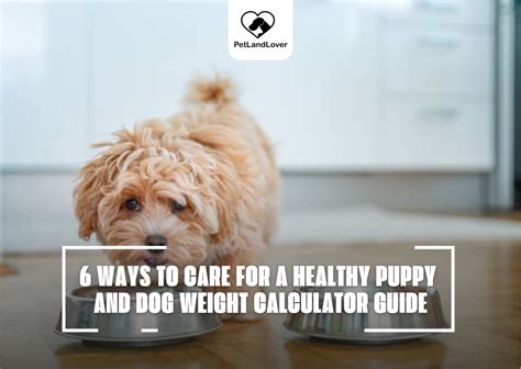 6 WAYS TO CARE FOR A HEALTHY PUPPY AND DOG WEIGHT CALCULATOR GUIDE ...