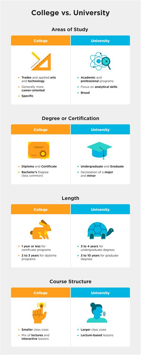 What's the Difference Between College and University?
