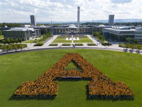 UAlbany Welcomes New Great Danes for Fall 2022 Semester | University at ...