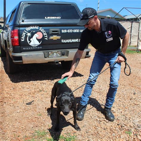 Home - Kaua’i Humane Society