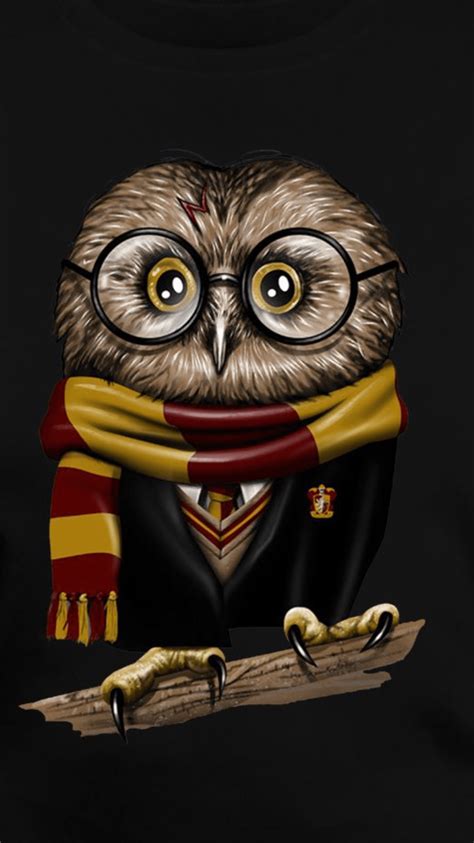 Harry Potter Owl Wallpapers - Top Free Harry Potter Owl Backgrounds ...