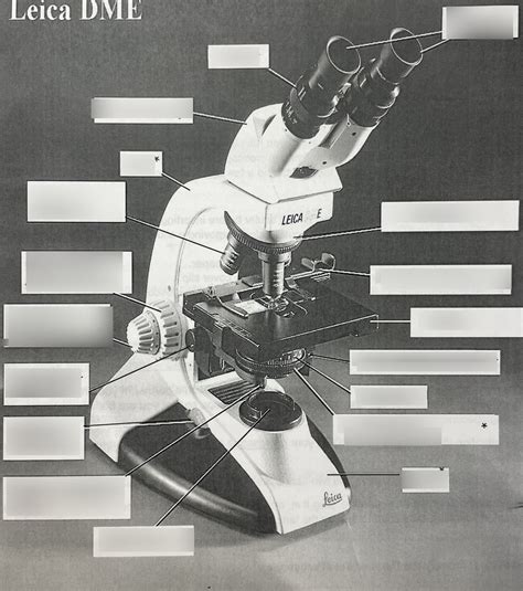 Compound Microscope DIAGRAM Diagram | Quizlet