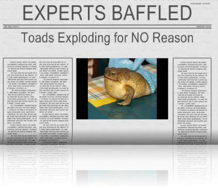 Exploding Toads Video 的图像结果