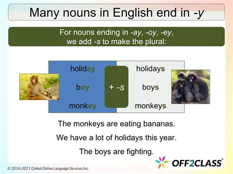 Plural Of Monkey