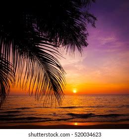 Image result for Sunset Climb O2