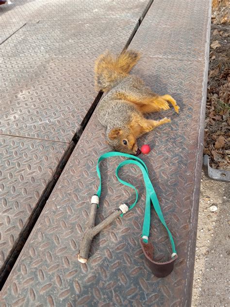 Atomic fire ball | The Slingshot Community Forum