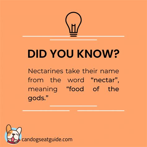 Can Dogs Eat Nectarines? A Juicy Treat Or Dangerous Threat?